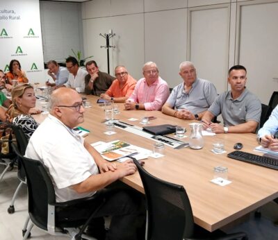 La Junta estima que Andalucía superará los dos millones de toneladas de cítricos en 2025-2026