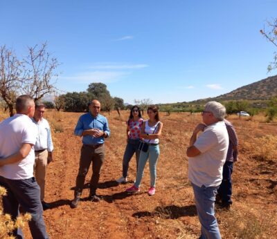 Almería.-Junta aborda en Los Vélez las plagas del almendro por gusano cabezudo y avispilla con pérdidas de hasta el 80%