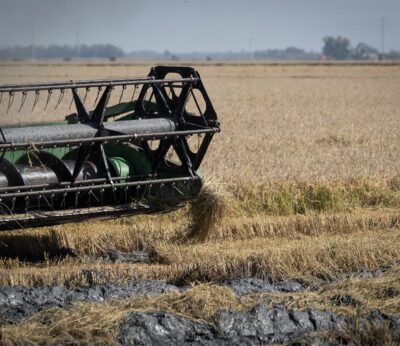 UAGN critica que 13 jóvenes «han quedado fuera» de las ayudas de primera instalación por falta de presupuesto