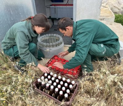 El CITA pone en marcha cuatro nuevos proyectos de la convocatoria 2024 de Generación de Conocimiento