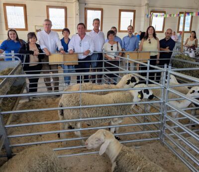 Cantavieja celebra la 115ª Feria de Septiembre con récord de caballos y altas expectativas en la subasta ganadera