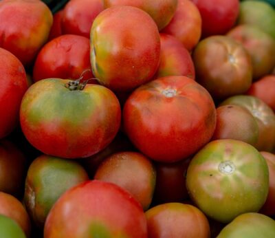 Las exportaciones de Extremadura alcanzan 425,2 millones en julio, un 39,5% más, y las importaciones bajan un 2,8%