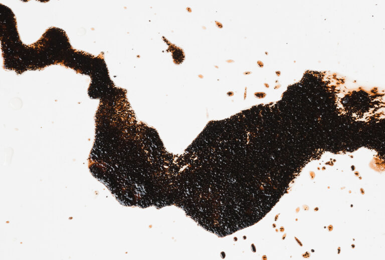 ¿Qué puede hacer el café por el planeta?