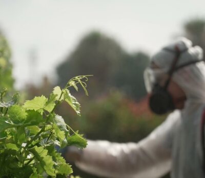 AVA-Asaja celebra que la Comisión Europea posponga el registro digital de los tratamientos fitosanitarios