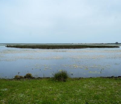 El Consejo de Ministros aprueba este martes las ayudas de renaturalización del entorno agrícola de Doñana