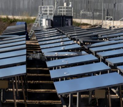 La Comunidad limitará el terreno para plantas fotovoltaicas a fin de proteger los cultivos de vid y olivo