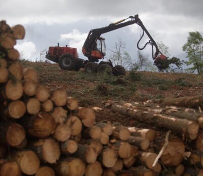 La Comunidad inicia en Gascones el proyecto ‘Madrid Forestal’ para el aprovechamiento de madera