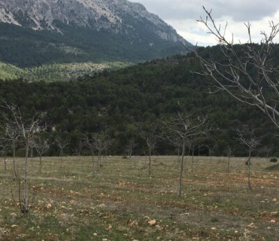 Granada.- Asaja presenta alegaciones contra el Parque Natural de la Sagra si no garantiza su «sostenibilidad»