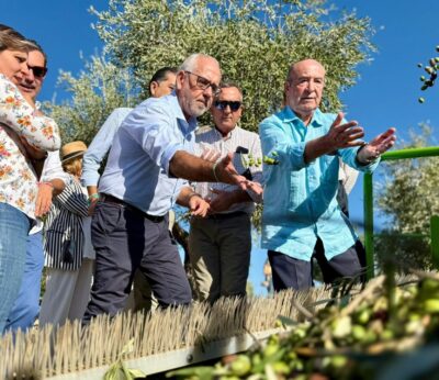 Jaén.- Estrella destaca el compromiso de la Junta para impulsar la producción de aceite de oliva temprano