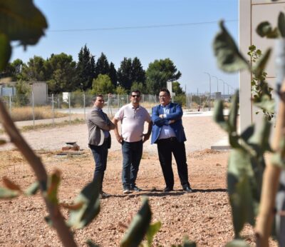 Pistacuenca espera una producción de 150 toneladas con una cosecha de pistacho que viene «mejor de lo esperado»