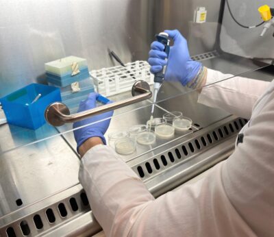 Agro.- Eurecat investiga bacterias capaces de biodegradar los microplásticos y nanoplásticos en el mar