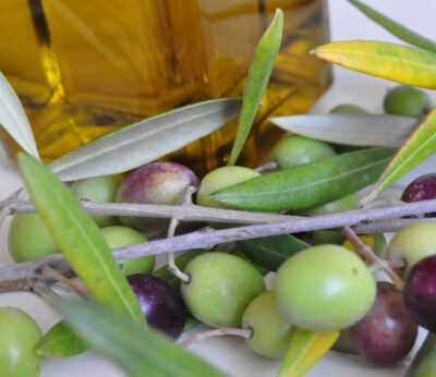 La Unión pide ayudas para paliar pérdidas de más de 27 millones en la aceituna manzanilla cacereña por la sequía