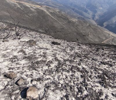 Rural.- Ecologistas y cinco municipios de Valdeorras realizarán este fin de semana una restauración de zonas quemadas