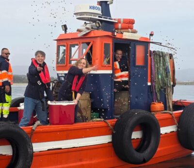 Pesca.- La Consellería do Mar entrega al sector en la ría de Arousa cerca de medio millón de unidades de almeja babosa