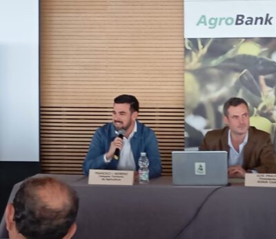 Cádiz.- La provincia recibe más de 55 millones de euros de anticipo de ayudas de la PAC