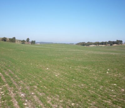 Unión de Uniones cree que la estrategia de relevo en el campo tiene «buena voluntad» pero «sin calado real»