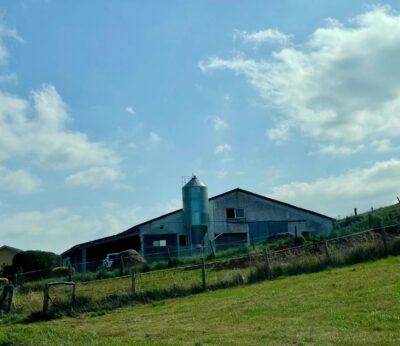 Rural.- El Principado concede 202 ayudas para el fomento del emprendimiento y la contratación en el medio rural
