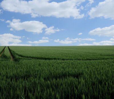 Agricultura abona el anticipo de la PAC más rápido de la historia, con más de 217 millones de euros