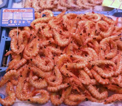 Pesca.- Un proyecto de Pescanova usa la IA para «optimizar recursos e impulsar la sostenibilidad» en el sector pesquero