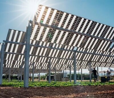 Agro.- La UPC pone en marcha una planta agrivoltaica para ver el impacto de las placas en cultivos