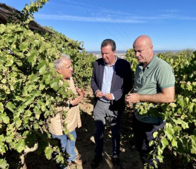 Huelva.- El PP destaca la respuesta del Gobierno andaluz y la Diputación con «ayudas directas para combatir el mildiu»