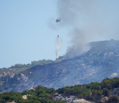 Cádiz.- COAG espera que se corrija el decreto de ayudas por incendios y se incluya a los afectados de La Peña de Tarifa