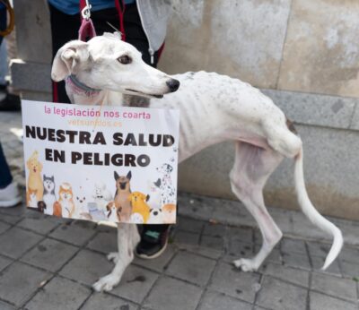 Veterinarios llaman a manifestarse frente a Agricultura el 18 de noviembre para exigir una legislación que les «respete»
