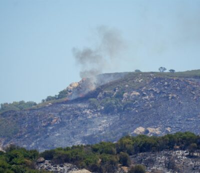 Cádiz.-AndaluciaVerde.- Un estudio señala que los bosques de pinos pueden aumentar la severidad de los incendios
