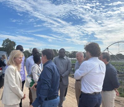 Huelva.- Más de 17.000 trabajadores extranjeros se unirán a principios de año a la campaña agrícola de Huelva