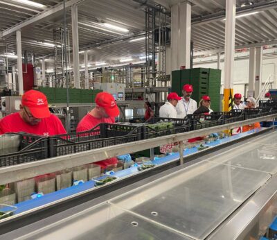 Consejo.- La Junta concede ayudas por más de 117 millones a 76 organizaciones de productores hortofrutícolas