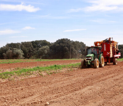 Cooperativas Agroalimentarias presenta 83 alegaciones a la Ley Agraria por la falta de «conexión con el territorio»