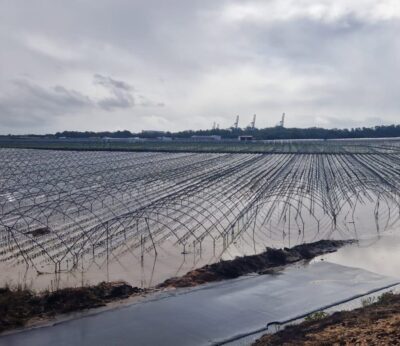 Huelva.- Freshuelva señala fincas afectadas por toda la costa por las intensas lluvias y rachas de viento