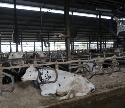 Cantabria exige a Planas que «cierre fronteras» ante la reapertura de Francia, que no ha controlado completamente la DNC