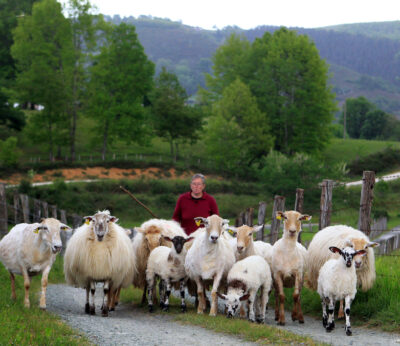 Naturaleza y tradición