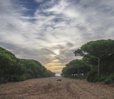 Cádiz.-Consejo.- La Junta amplía el Parque Natural de La Breña y aprueba su nuevo instrumento de gestión