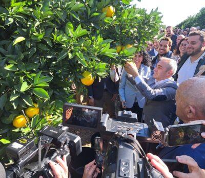 Arranca la campaña 2025-2026 de la IGP Cítricos Valencianos