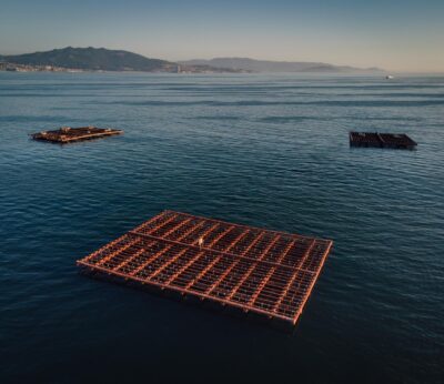 Pesca.- El cierre de bateas por la presencia de toxinas se extiende a casi el 80% de los polígonos