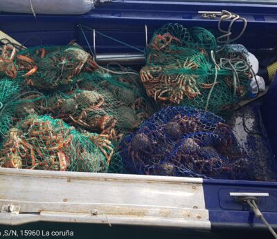 Pesca.-Gardacostas de Galicia decomisa 340 kilos de centollo e incauta 4.450 metros de redes en la ría de Arousa