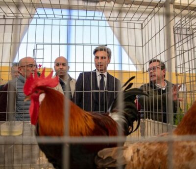 CórdobaÚnica.- La Diputación suspende la celebración de Avicor 2025 como consecuencia de la situación de gripe aviar