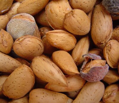 La producción de frutos secos se recupera en la campaña 2025/2026, con un registro histórico para la almendra