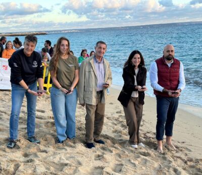 El Govern libera en el mar 34 tortugas marinas nacidas este verano en Can Pere Antoni