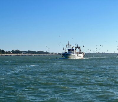 La Eurocámara pide un plan europeo de renovación de la flota pesquera para avanzar en la transición verde