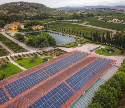 Agro.- IWCA alcanza el 3,5% de la producción mundial de vino, con 175 bodegas