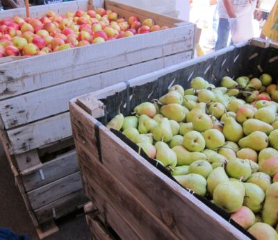 Zaragoza.- Aprobada en la DPZ una iniciativa para impulsar la formación en fruticultura
