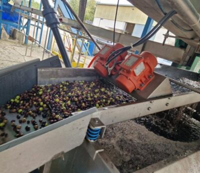Rincón celebra en Barbastro la creación de la DOP Aceite del Somontano