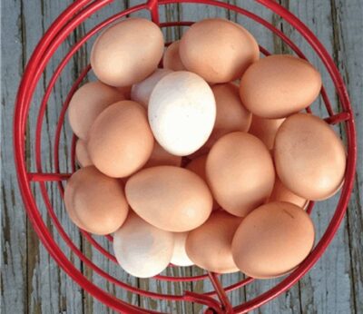 Rural.- El BNG pide adoptar medidas e impedir la especulación ante el aumento del precio de los huevos