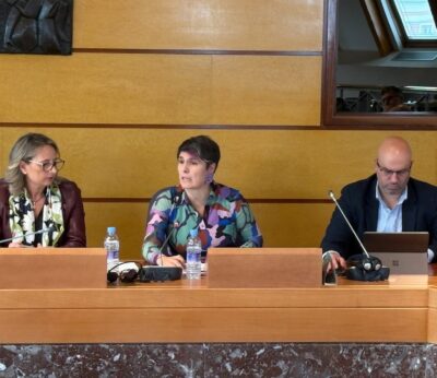 Diputación asegura que no se ha detectado «ningún caso» de dermatosis nodular infecciosa en Bizkaia