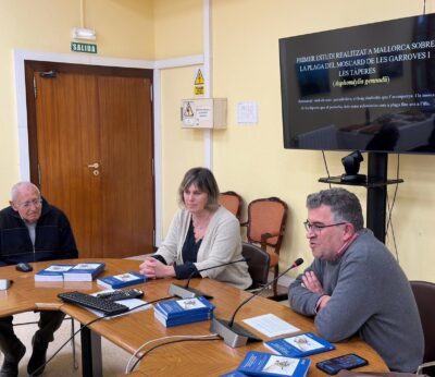 El Govern presenta el primer estudio integral sobre el mosquito de las algarrobas y las alcaparras en Mallorca