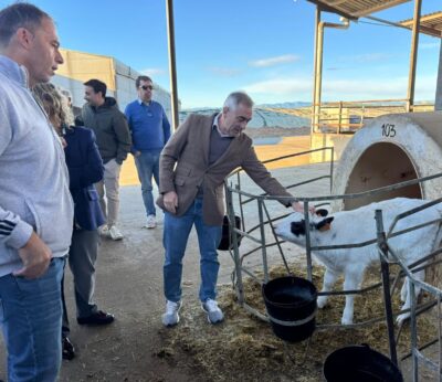 Agricultura recibe 179 solicitudes para ganadería en las ayudas para jóvenes y nuevos agricultores