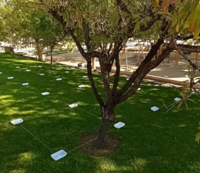 El proyecto DigiWaGu, coordinado por el CITA, pide opinión a los usuarios de las zonas verdes de Huesca y Teruel